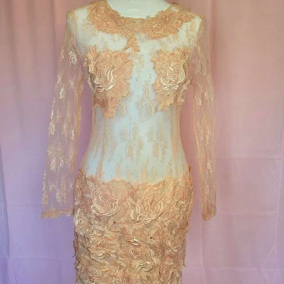 Parvenue Baby Pink Lace Dress - Picture 1 of 7